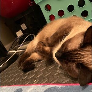 Meet your Posher, Debrah